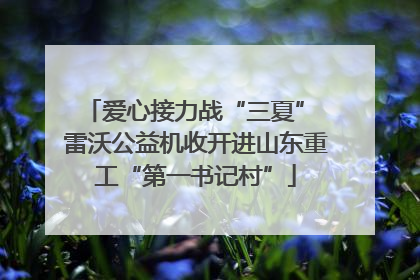 爱心接力战“三夏” 雷沃公益机收开进山东重工“第一书记村”