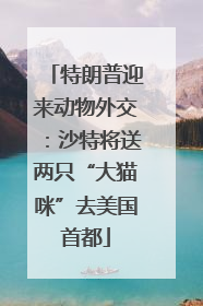 特朗普迎来动物外交：沙特将送两只“大猫咪”去美国首都