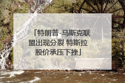 特朗普-马斯克联盟出现分裂 特斯拉股价承压下挫