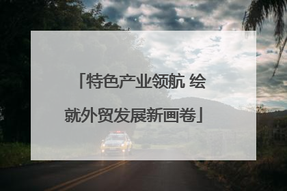 特色产业领航 绘就外贸发展新画卷