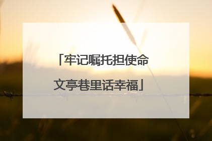牢记嘱托担使命 文亭巷里话幸福
