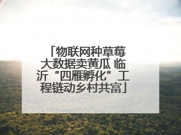 物联网种草莓 大数据卖黄瓜 临沂“四雁孵化”工程链动乡村共富