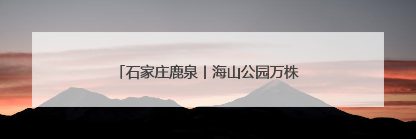 石家庄鹿泉丨海山公园万株荷花绽放 开启夏日赏荷季