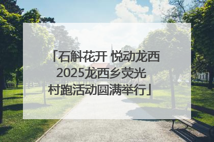 石斛花开 悦动龙西 2025龙西乡荧光村跑活动圆满举行