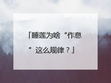 睡莲为啥“作息”这么规律？