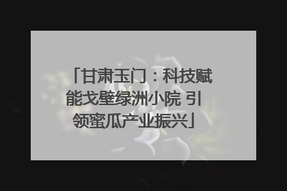 甘肃玉门：科技赋能戈壁绿洲小院 引领蜜瓜产业振兴