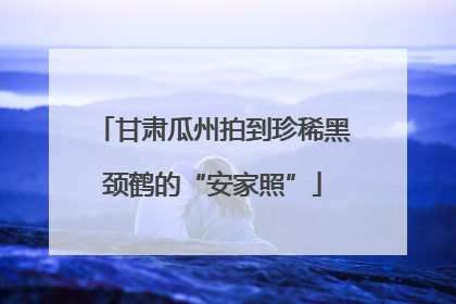 甘肃瓜州拍到珍稀黑颈鹤的“安家照”