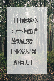 甘肃华亭：产业链群蓬勃起势 工业发展强劲有力