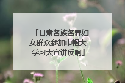 甘肃各族各界妇女群众参加巾帼大学习大宣讲反响