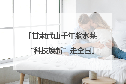 甘肃武山千年浆水菜“科技焕新”走全国