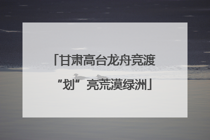 甘肃高台龙舟竞渡“划”亮荒漠绿洲