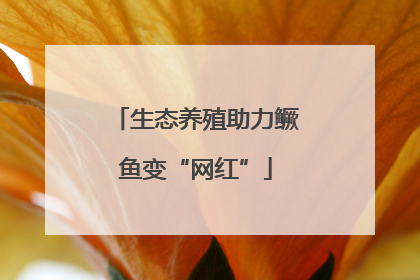 生态养殖助力鳜鱼变“网红”