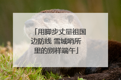 用脚步丈量祖国边防线 雪域哨所里的别样端午