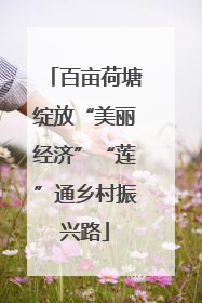 百亩荷塘绽放“美丽经济”“莲”通乡村振兴路