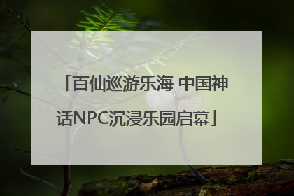 百仙巡游乐海 中国神话NPC沉浸乐园启幕