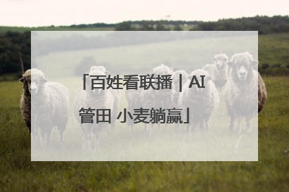 百姓看联播｜AI管田 小麦躺赢