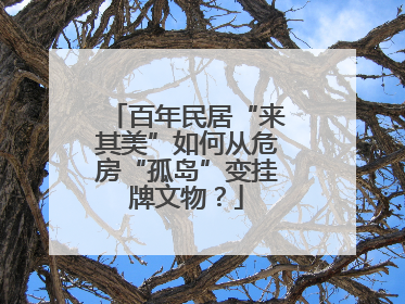 百年民居“来其美”如何从危房“孤岛”变挂牌文物？