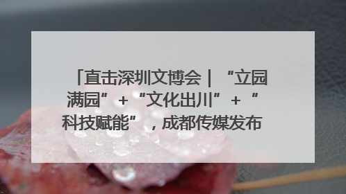 直击深圳文博会｜“立园满园”+“文化出川”+“科技赋能”，成都传媒发布三大文创领域合作清单