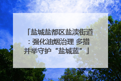 盐城盐都区盐渎街道：强化油烟治理 多措并举守护“盐城蓝”