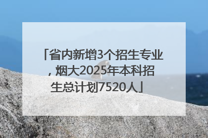 省内新增3个招生专业，烟大2025年本科招生总计划7520人