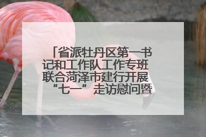 省派牡丹区第一书记和工作队工作专班联合菏泽市建行开展“七一”走访慰问暨红色教育活动