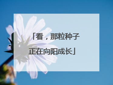 看，那粒种子正在向阳成长