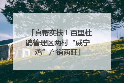 真帮实扶！百里杜鹃管理区两村“威宁鸡”产销两旺