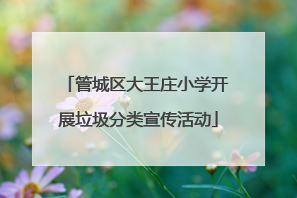 管城区大王庄小学开展垃圾分类宣传活动