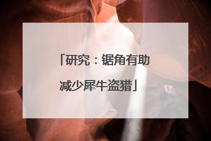 研究：锯角有助减少犀牛盗猎