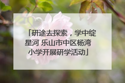 研途去探索，学中绽星河 乐山市中区杨湾小学开展研学活动