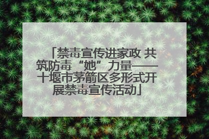 禁毒宣传进家政 共筑防毒“她”力量——十堰市茅箭区多形式开展禁毒宣传活动