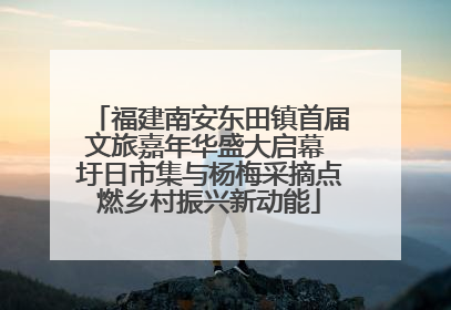 福建南安东田镇首届文旅嘉年华盛大启幕 圩日市集与杨梅采摘点燃乡村振兴新动能