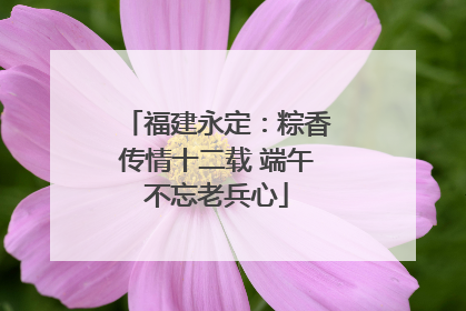 福建永定：粽香传情十二载 端午不忘老兵心