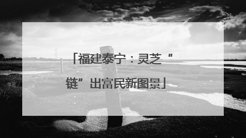 福建泰宁：灵芝“链”出富民新图景