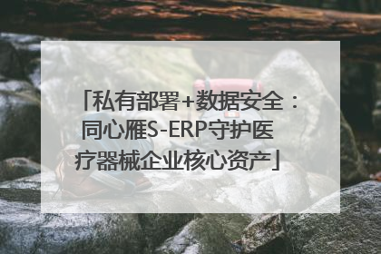 私有部署+数据安全：同心雁S-ERP守护医疗器械企业核心资产