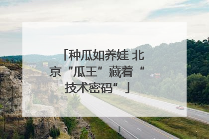 种瓜如养娃 北京“瓜王”藏着“技术密码”