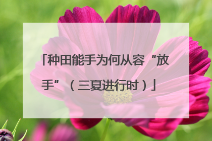 种田能手为何从容“放手”（三夏进行时）