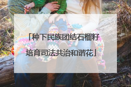 种下民族团结石榴籽 培育司法共治和谐花