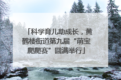 科学育儿助成长，黄鹤楼街道第九届“萌宝爬爬赛”圆满举行