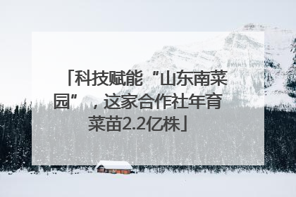 科技赋能“山东南菜园”，这家合作社年育菜苗2.2亿株