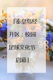 秦皇岛经开区：校园足球文化节启幕