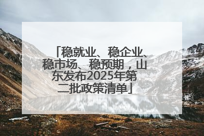 稳就业、稳企业、稳市场、稳预期，山东发布2025年第二批政策清单