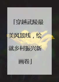 穿越武陵最美风景线，绘就乡村振兴新画卷