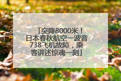 突降8000米！日本春秋航空一波音738飞机故障，乘客讲述惊魂一刻