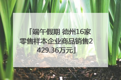 端午假期 德州16家零售样本企业商品销售2429.36万元