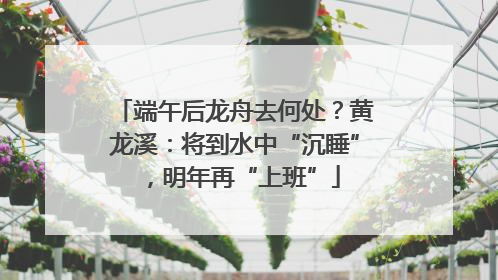 端午后龙舟去何处？黄龙溪：将到水中“沉睡”，明年再“上班”