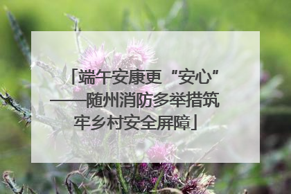 端午安康更“安心”——随州消防多举措筑牢乡村安全屏障