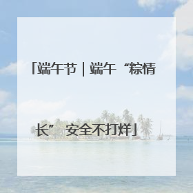 端午节｜端午“粽情长” 安全不打烊
