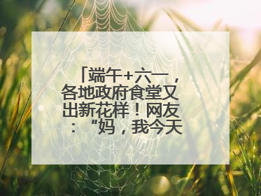 端午+六一，各地政府食堂又出新花样！网友：“妈，我今天不回家吃了”
