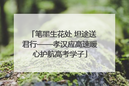 笔墨生花处 坦途送君行——孝汉应高速暖心护航高考学子